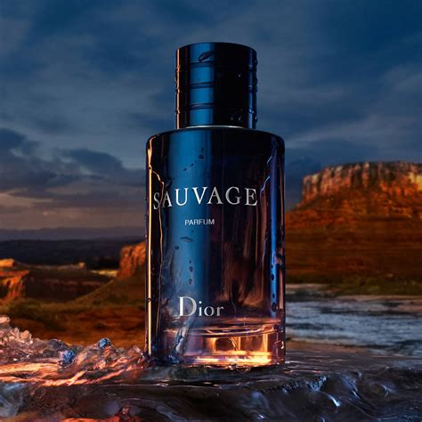 dior parfumo sauvage|dior sauvage 100ml best price.